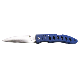 BLUE TICK FOLDER
